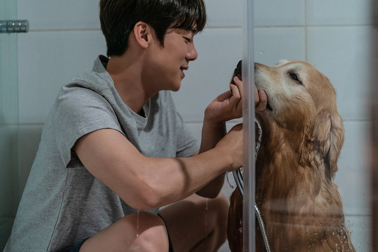 영화 멍뭉이 정보 ott 등장인물 줄거리 후기 