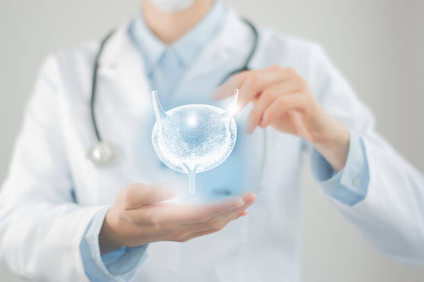 뇨를 단순한 불편으로 넘기지 말고 건강 신호로 받아들이는 것이 현명한 선택