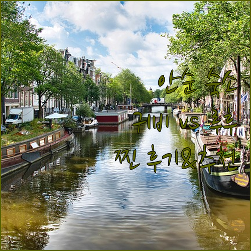 안순에서 잊지 못할 추억을! 🥰 귀비..