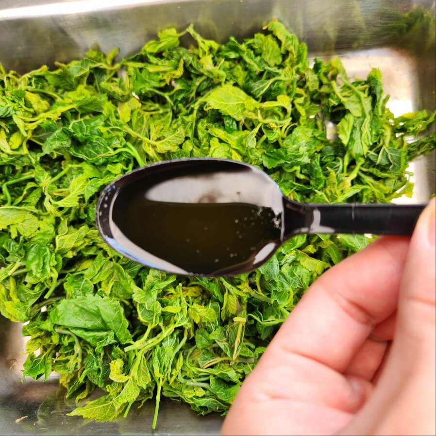 뽕잎순무침