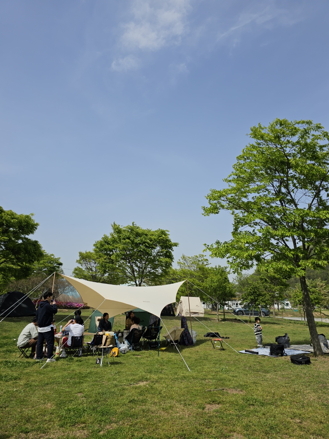 그늘막