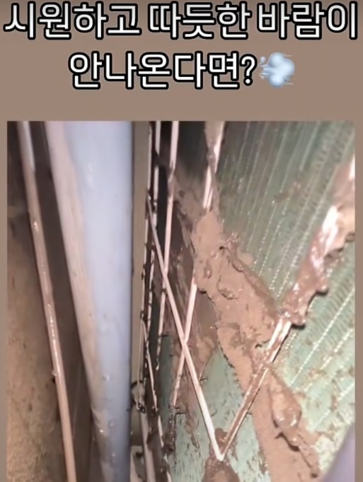 생생정보-청소업체-청아람케어