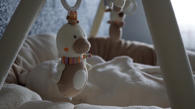 제주 출산장려금