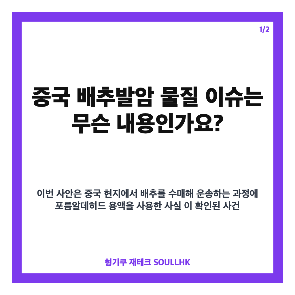 중국 배추발암 물질, 포름알데히드 불법 사용과 국내 수입 여부 확인 중 카드뉴스 1
