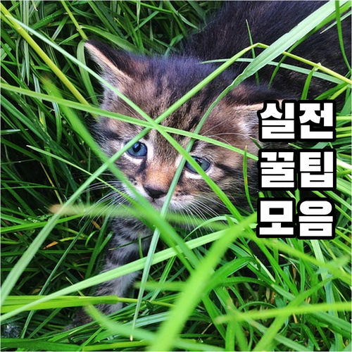 대형폐기물 온라인 신고: 성북구 상월..