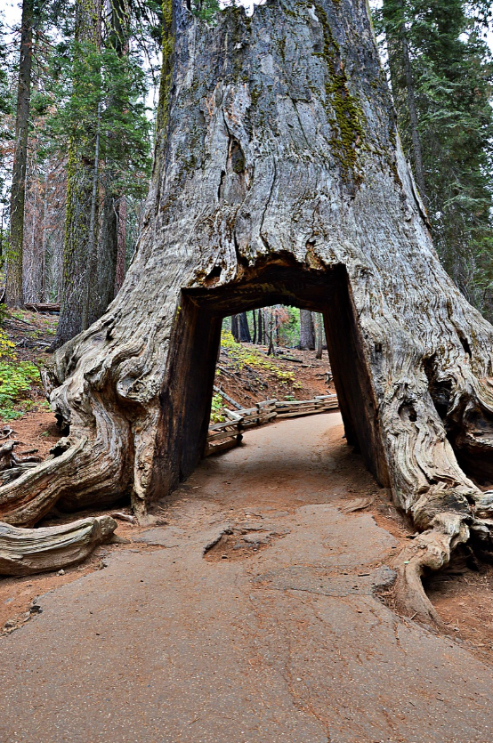 캘리포니아 관련 이미지