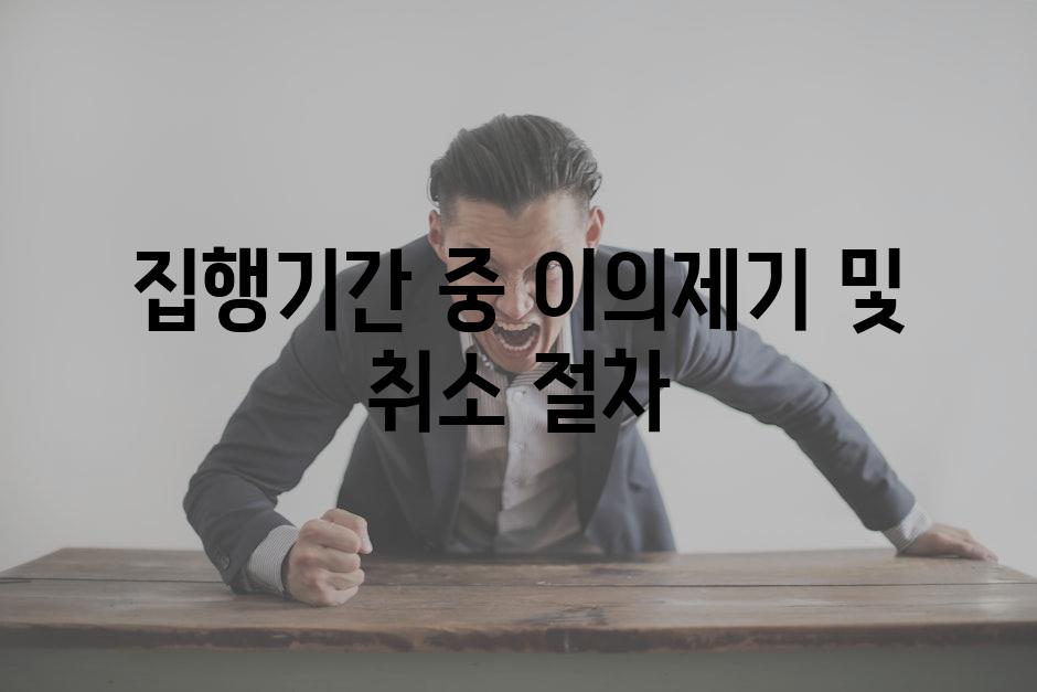 집행기간 중 이의제기 및 취소 절차