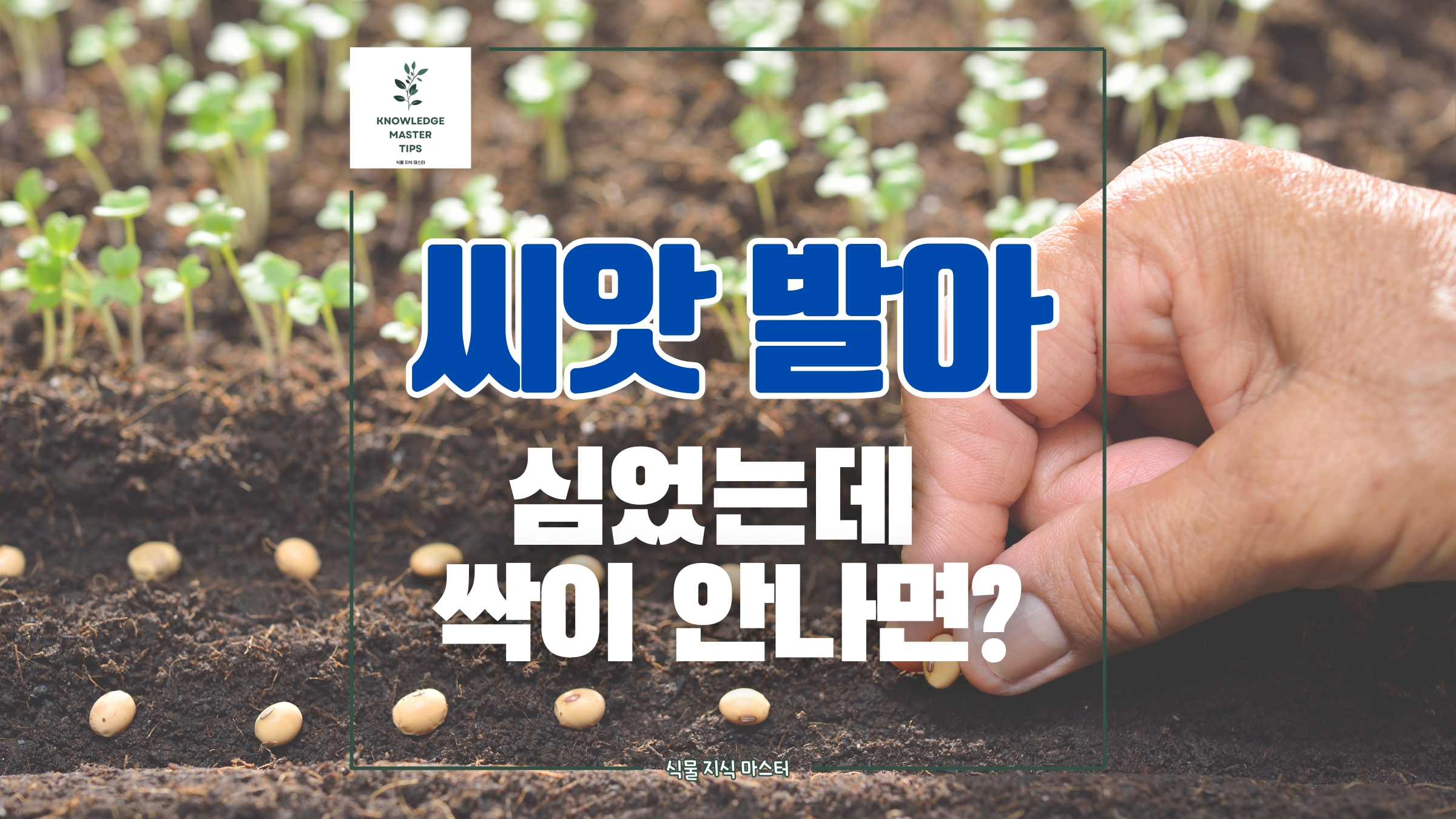 씨앗 발아, 심었는데 싹이 안나면?