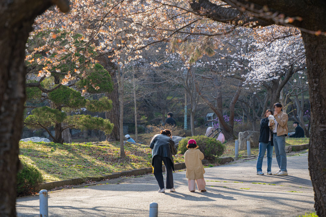 수원대학교 캠퍼스 나들이