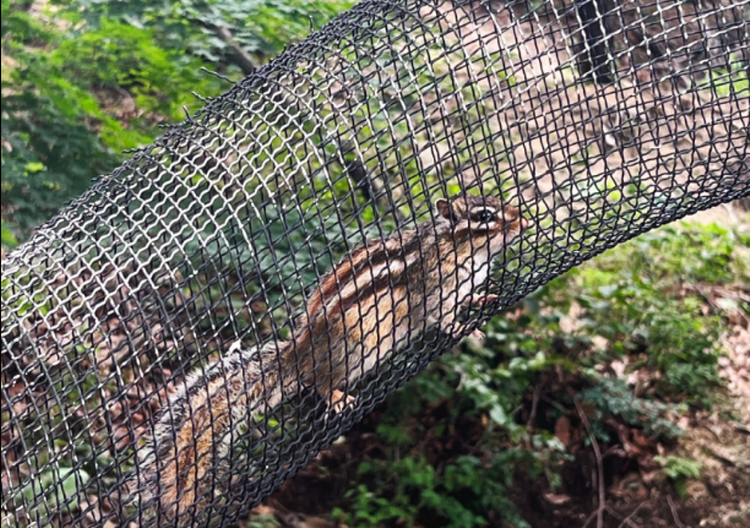 산들소리 수목원