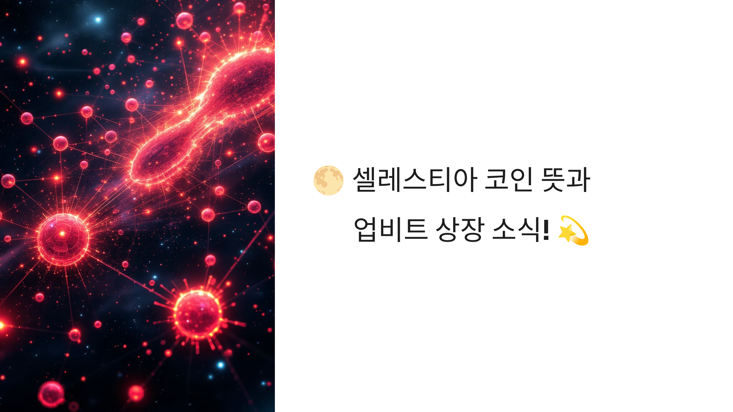 🌕 셀레스티아 코인 뜻과 업비트 상장 소식! 💫