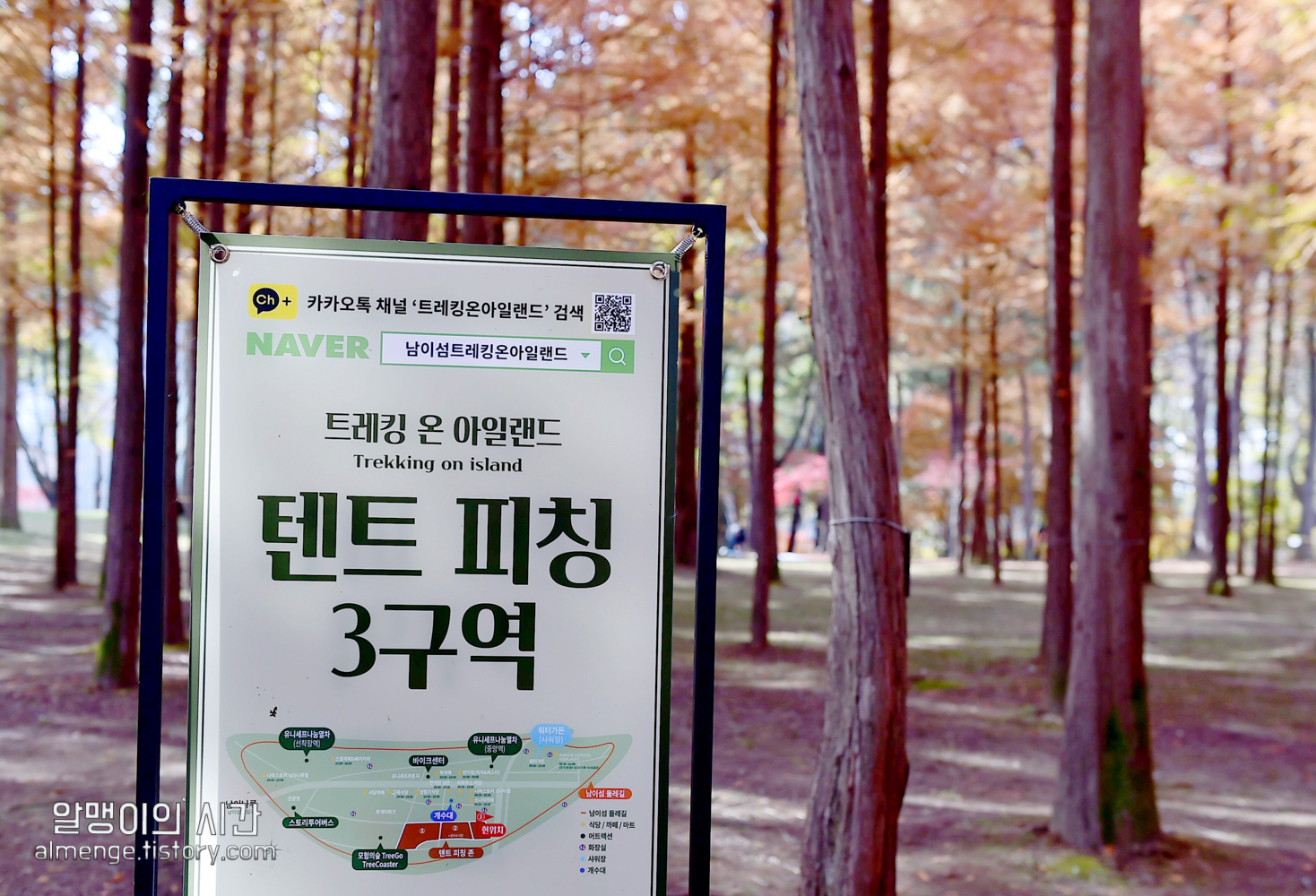 #9 남이섬 단풍 백패킹 :: 트레킹 온 아일랜드 후기 #9 남이섬 단풍 백패킹 :: 트레킹 온 아일랜드 후기
