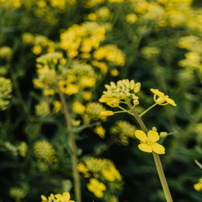 2025 서울 청년 월세 지원 혜택 총정리 &ndash; 타지역과 차이점은