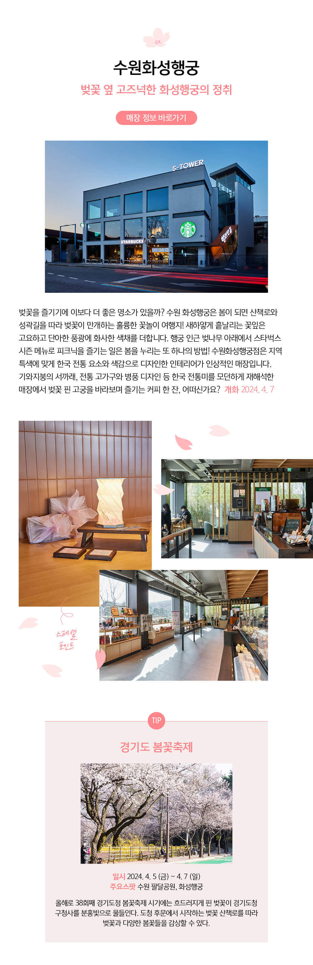 스타벅스 벚꽃뷰 매장 수원화성행궁