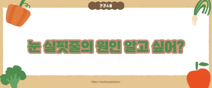 눈 실핏줄이 터지는 이유 (+주의할 질환)