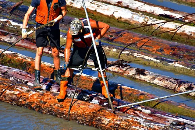 연금저축 세금폭탄 피하는 5가지 필수 전략