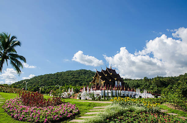 2024 청와대 개방 예약 방법(청와대 개방 2주년)