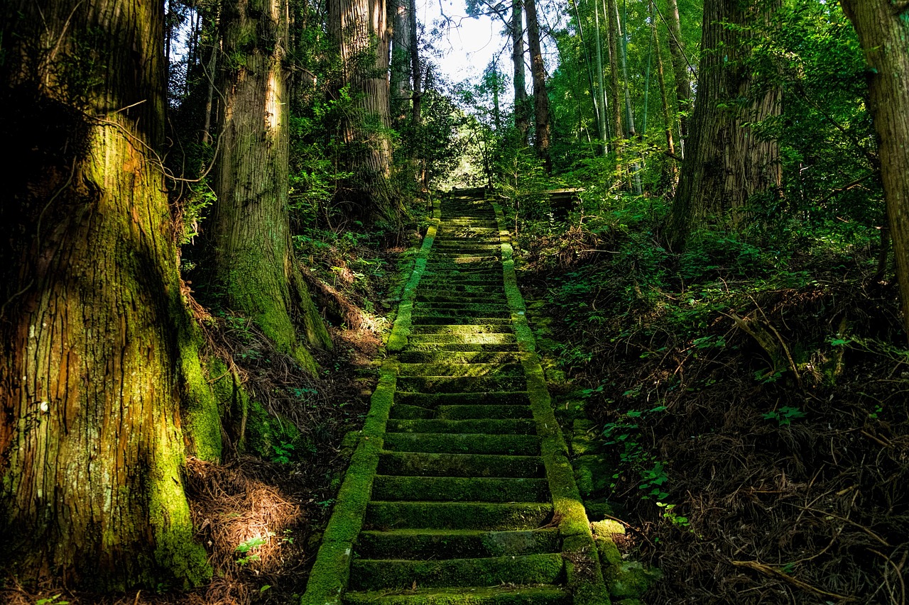일본, 아소산,신사