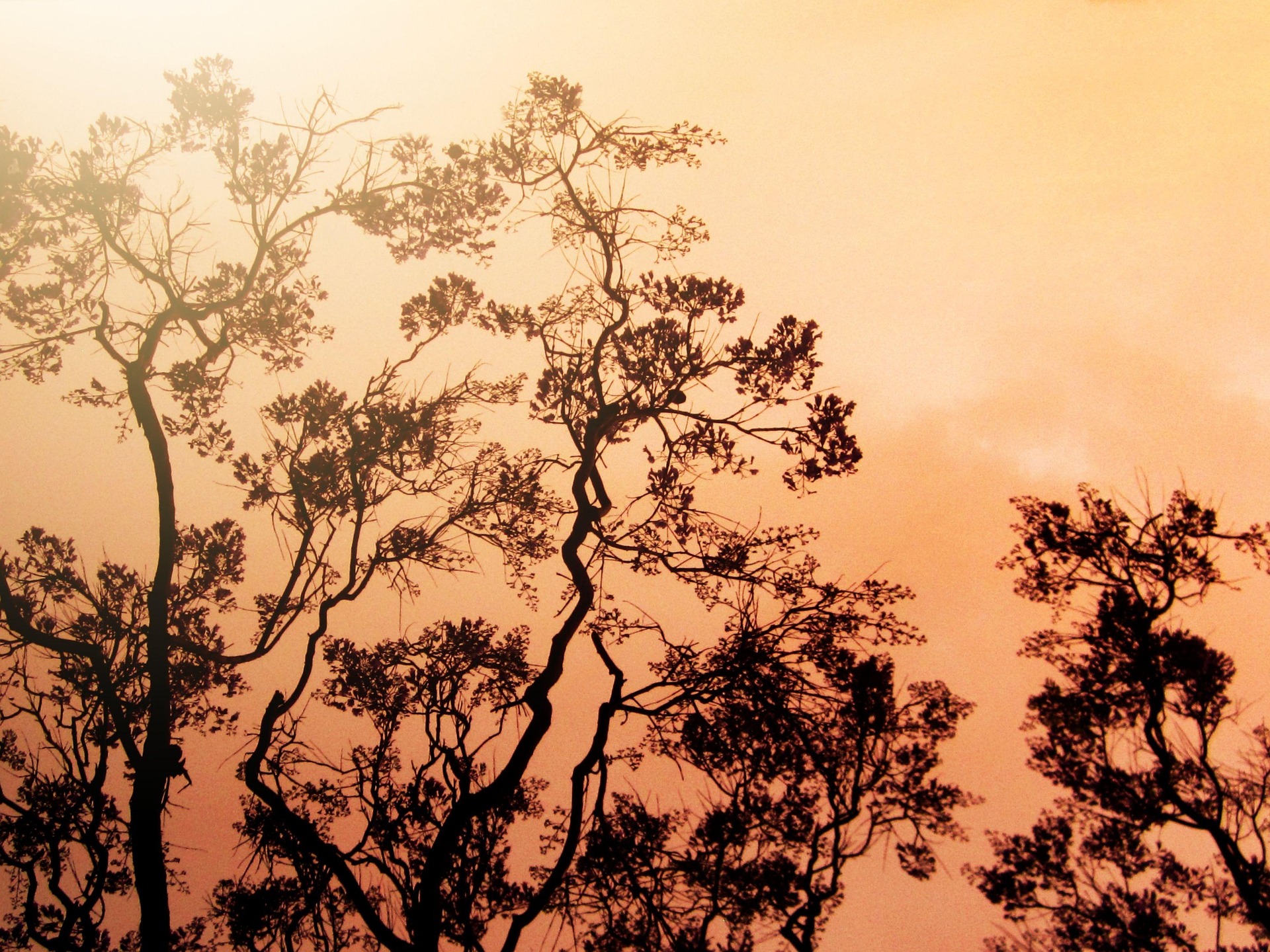 2026 봄철 산불조심기간 조기시행