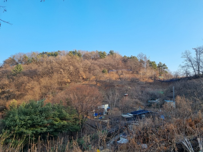 황학산
