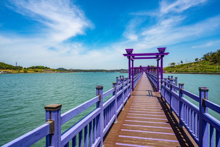 목포 근교 가족여행 추천장소(신안 퍼플섬) 관련