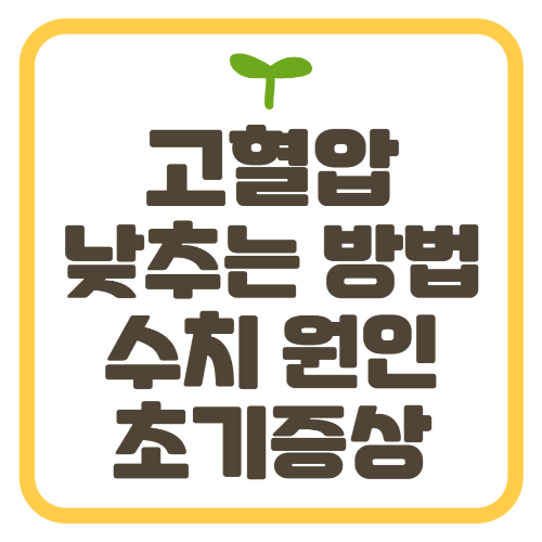 고혈압 낮추는 방법 수치 원인 초기 증상