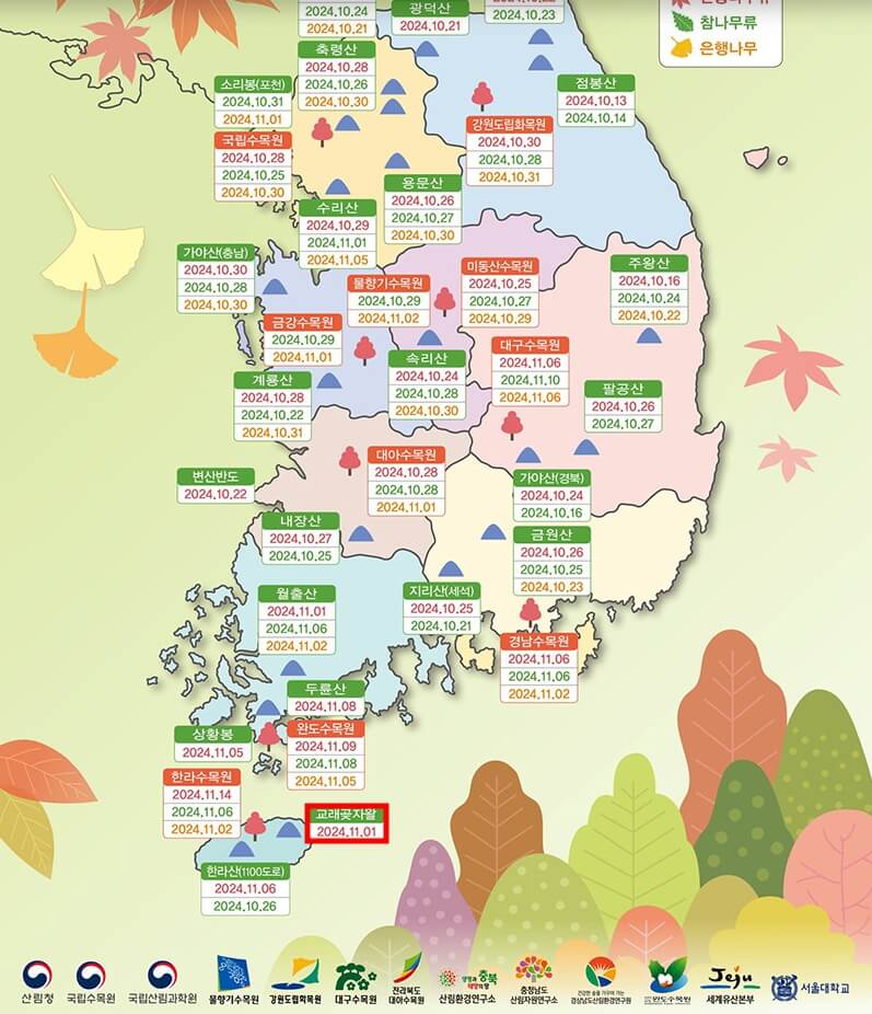 전국-단풍-지도