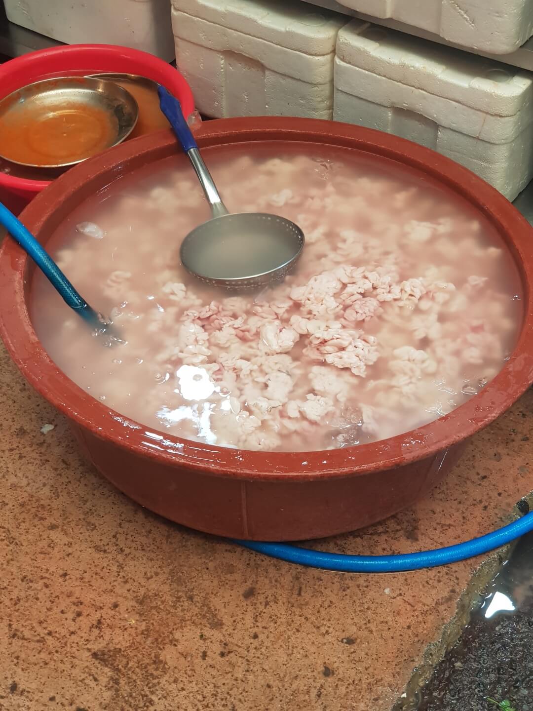 종로구 광장시장 맛집 은성횟집 리뷰 대구 매운탕 맛집