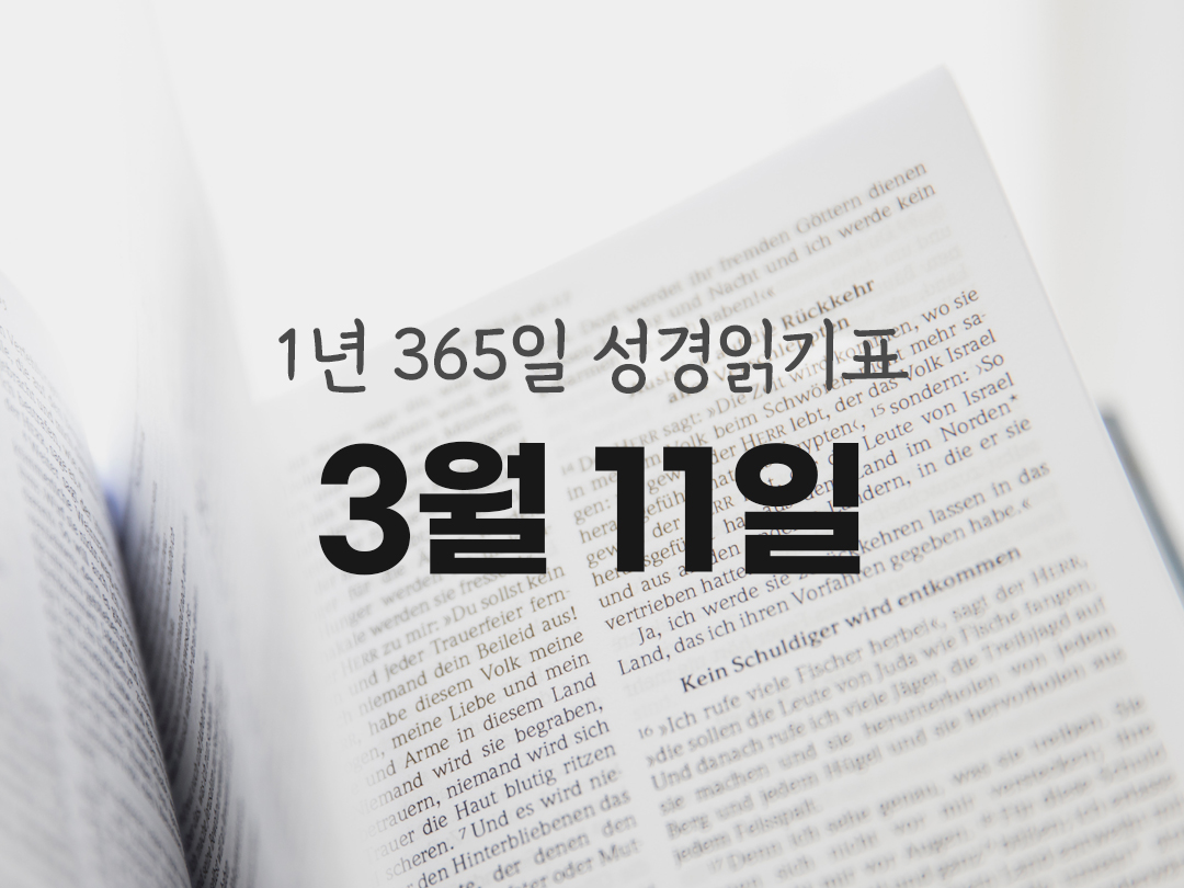 1년 365일 성경읽기표 3월 11일 진도표