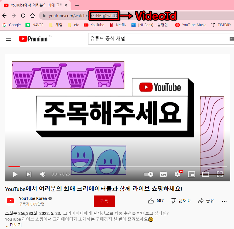 유튜브의 영상을 식별하는 영상의 ID 확인 예시 화면