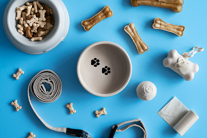 강아지-수제-간식-레시피