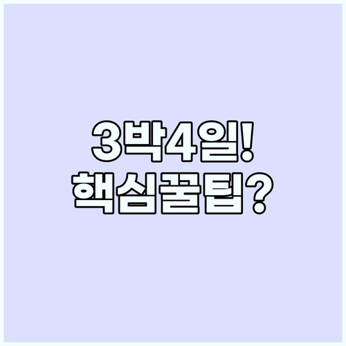 단기 해외여행 3박 4일 핵심 전략 ..