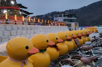 생방송투데이 썰매축제 경기도 포천