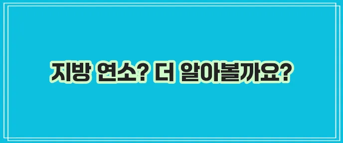 엘 카르니틴 효능과 부작용 섭취량까지 알아봐야겠죠