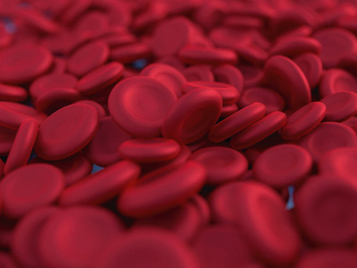 철분제 효능과 흡수율