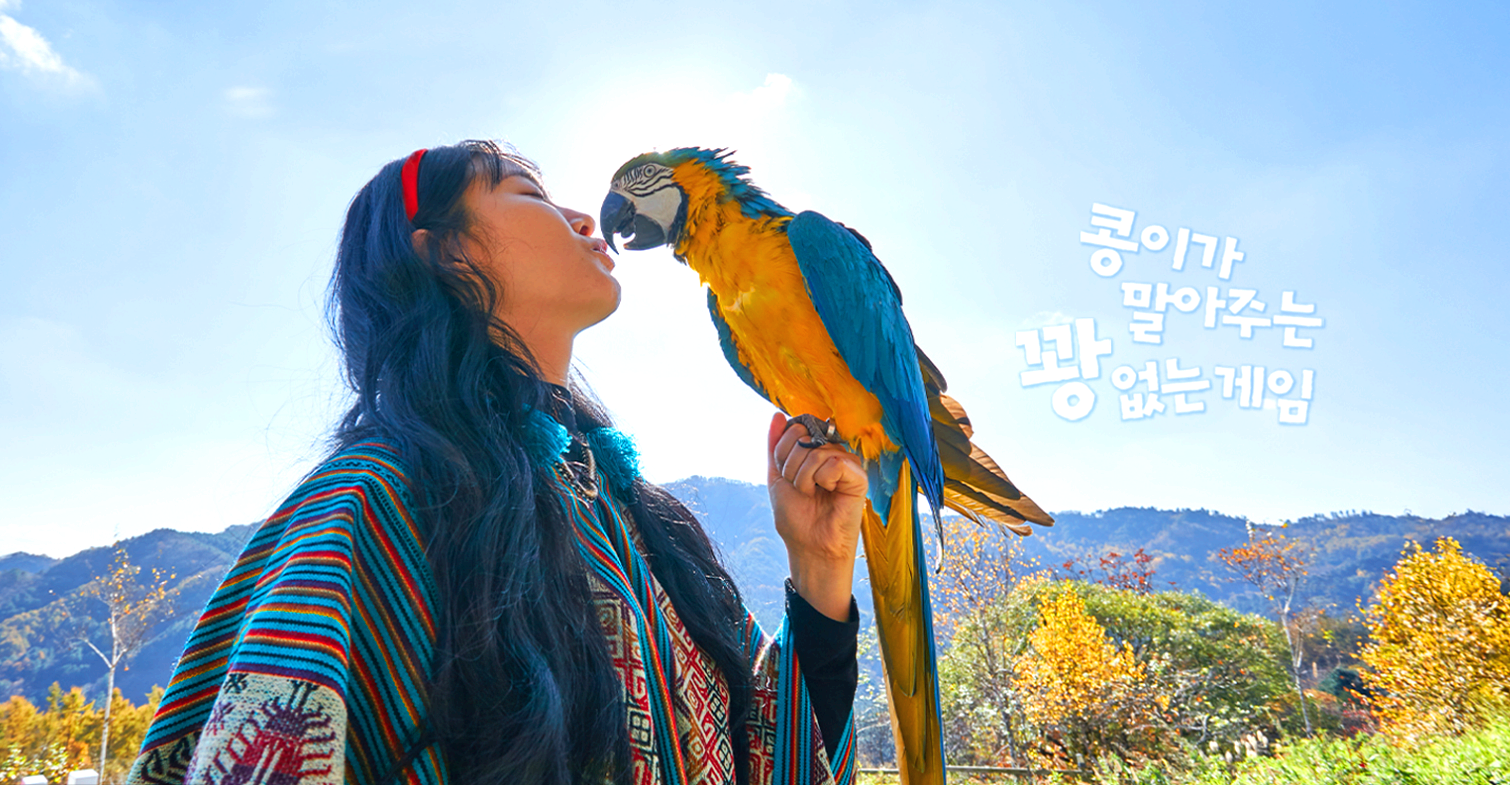 홍천 알파카 월드