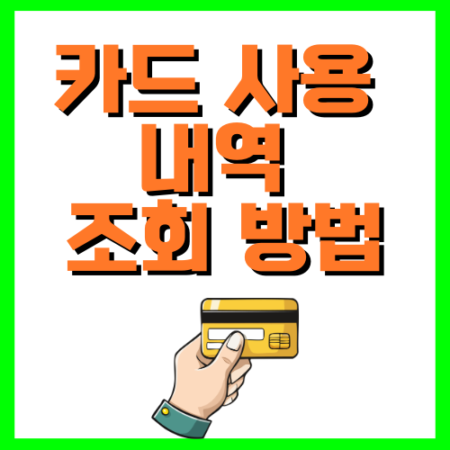 카드 사용 내역 조회 방법