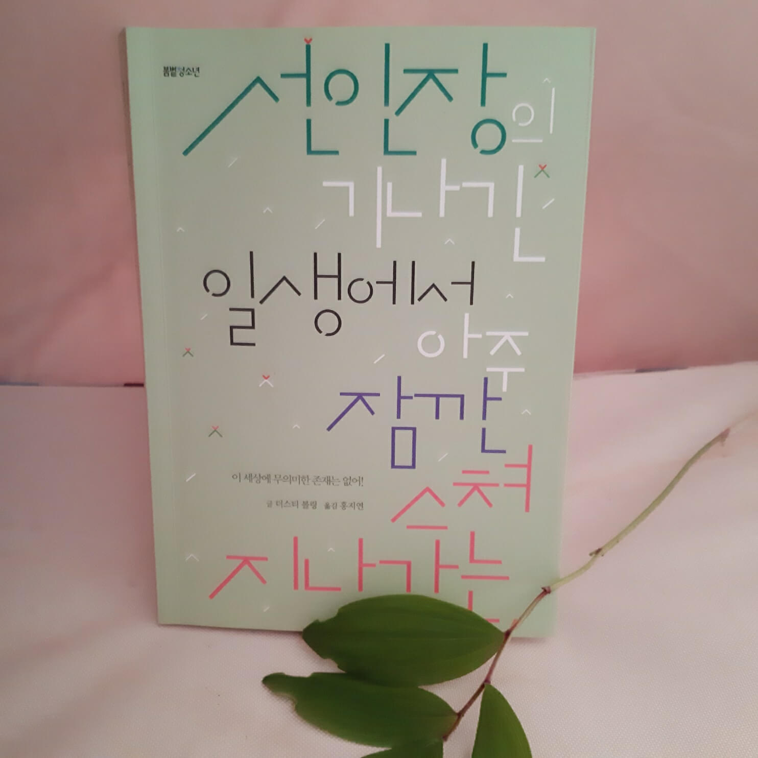 선인장의기나긴일생에서아주잠깐스쳐지나가는