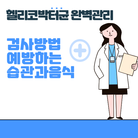 헬리코박터균 완벽 관리법