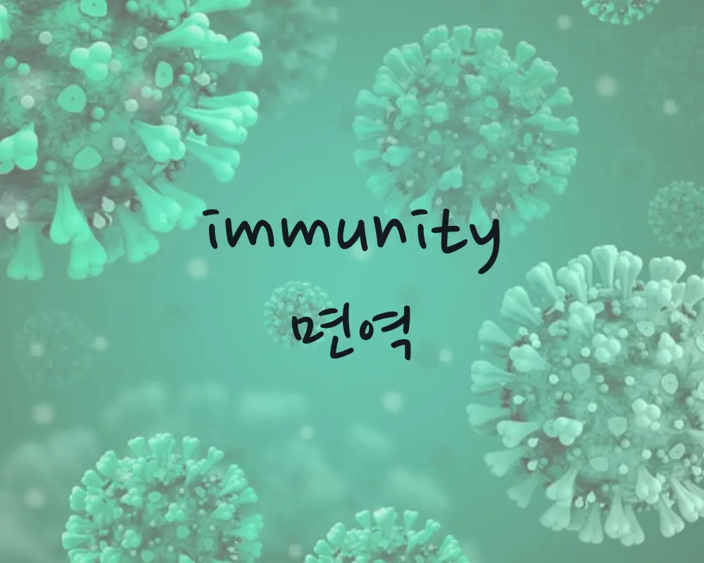 피로 감기예방 면역 관리법