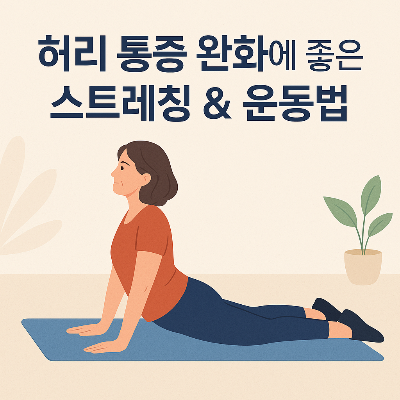 허리 통증에 좋은 운동법