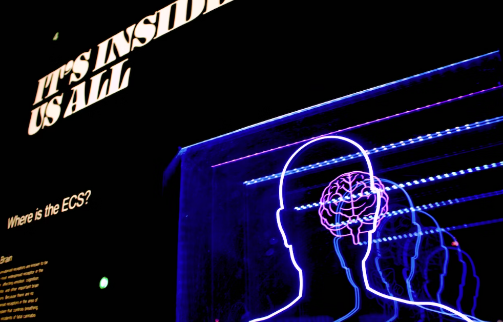 브레인스토밍 4가지 원칙