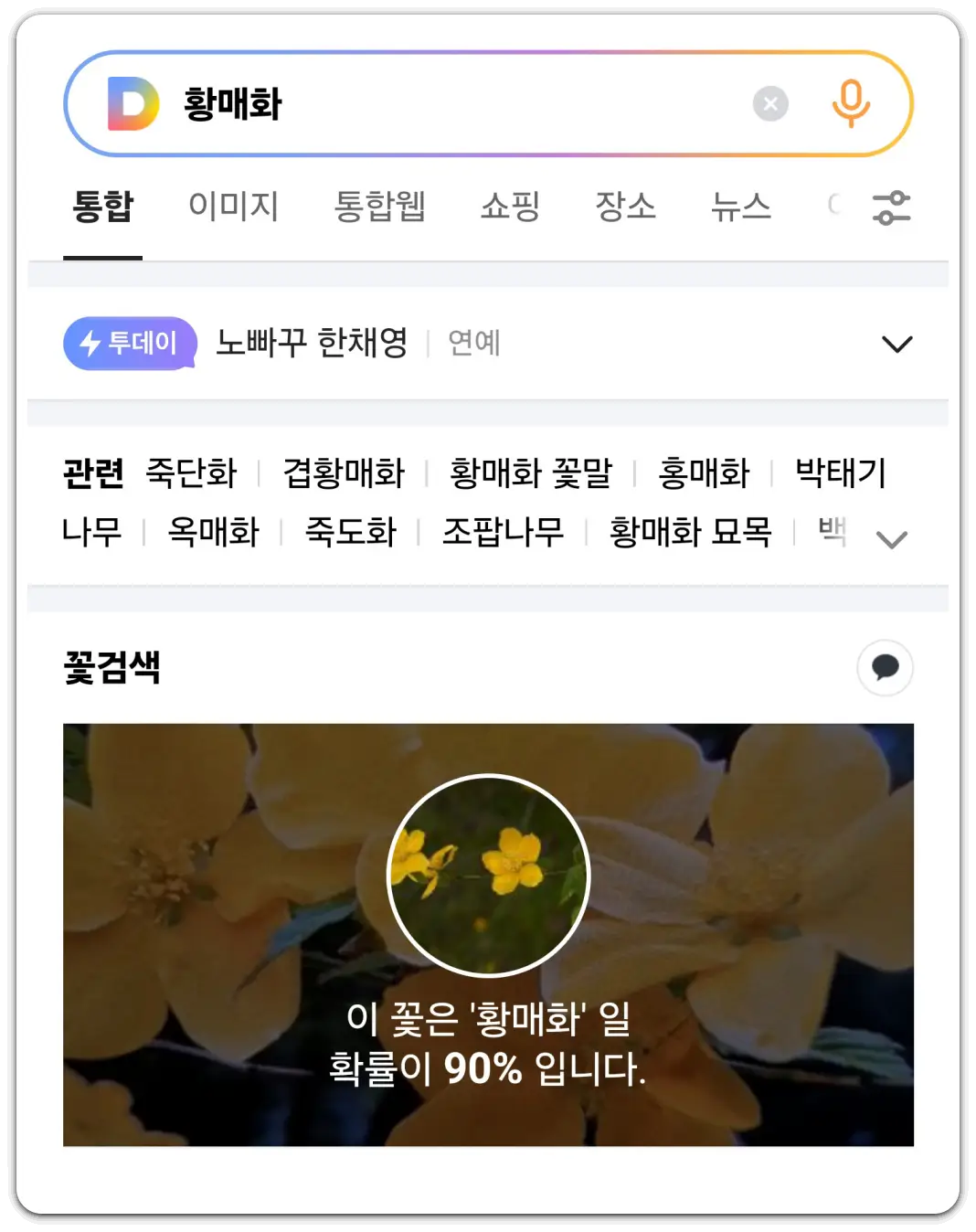 꽃-이름-검색-찾기-방법