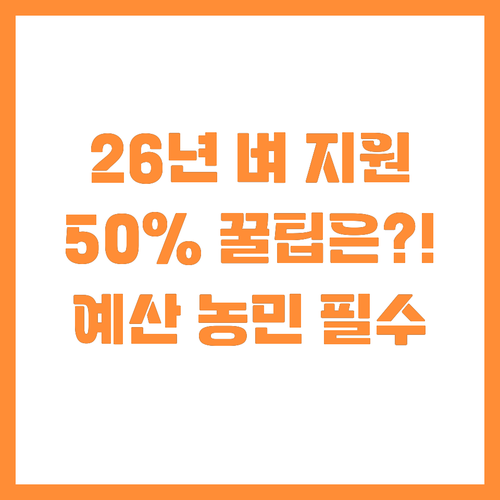 충남 예산 농업인 2026년 벼 건조..