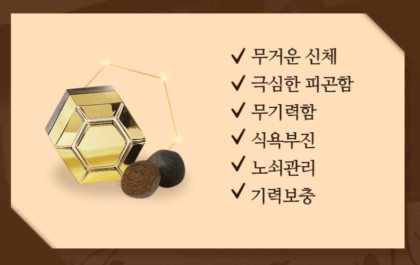 기능과 효과
