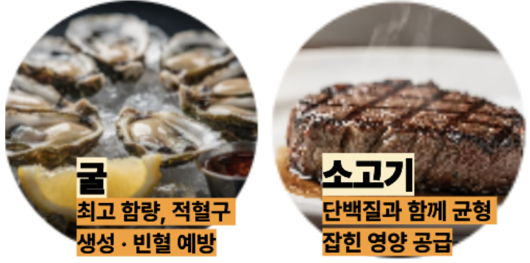 비타민b12 많이 함유된 굴과 소고기