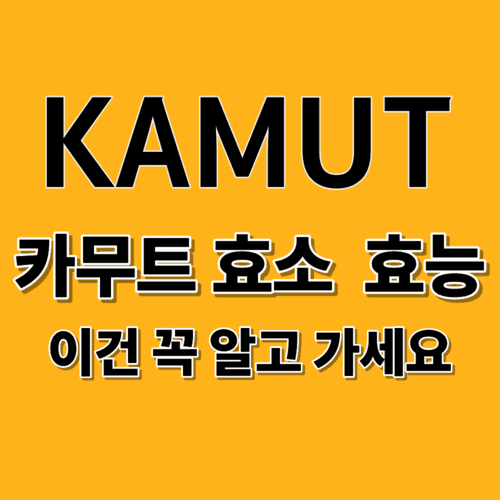 카무트 효소 효능