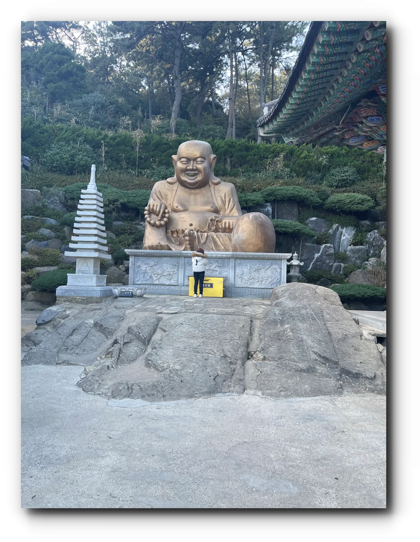 엄청난-크기의-귀를-가진-부유한-모습의-불상