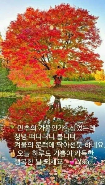 가을 인사말 문구 모음 정리_10