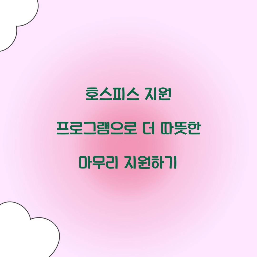 호스피스 지원 프로그램